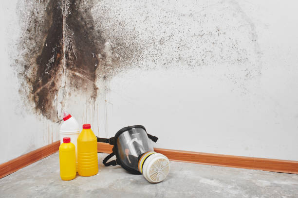 Best Mold Cleaning Services  in Thorofare, NJ