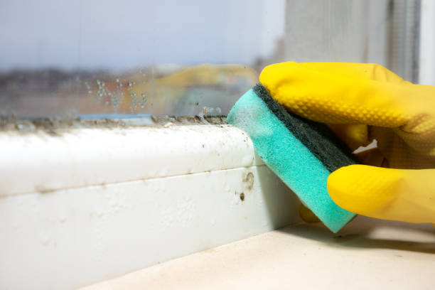 Best Toxic Mold Removal  in Thorofare, NJ