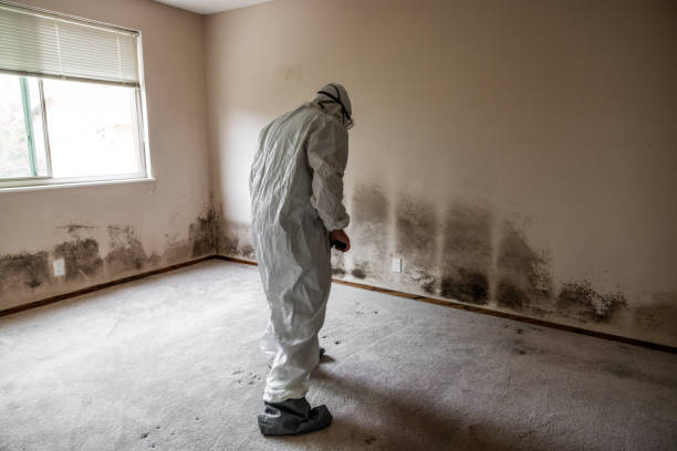 Best Commercial Mold Removal  in Thorofare, NJ
