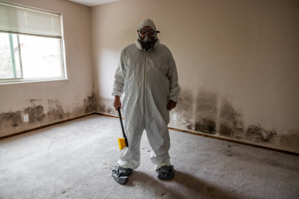 Best Emergency Mold Removal  in Thorofare, NJ