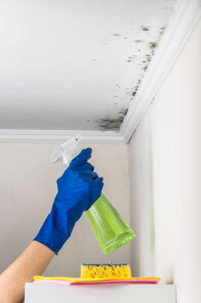 Best Residential Mold Removal  in Thorofare, NJ