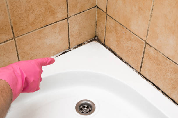 Best Mold Removal Company Near Me  in Thorofare, NJ